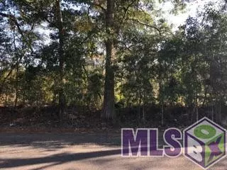 0 Lower Rome Rd, Springfield, LA 70462 photo 4