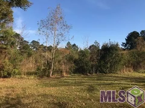 0 Lower Rome Rd, Springfield, LA 70462 photo 2