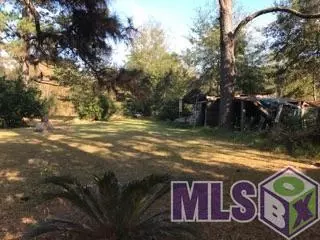 0 Lower Rome Rd, Springfield, LA 70462 photo 8