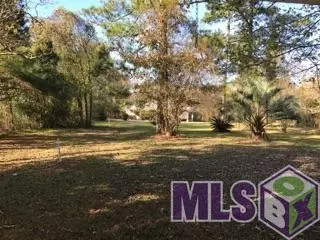 0 Lower Rome Rd, Springfield, LA 70462 photo 3