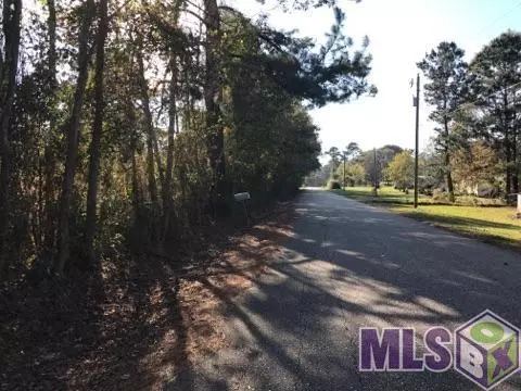 0 Lower Rome Rd, Springfield, LA 70462 photo 10