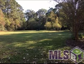 13990 Pine Park Dr, Walker, LA 70785 photo 10