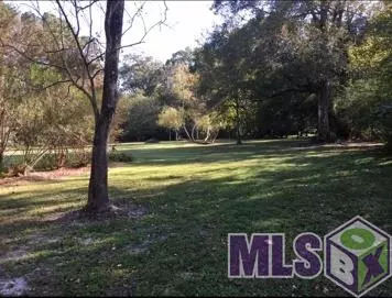 13990 Pine Park Dr, Walker, LA 70785 photo 13