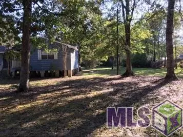 13990 Pine Park Dr, Walker, LA 70785 photo 15