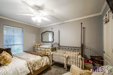 30195 N Corbin Rd, Walker, LA 70785 photo 16