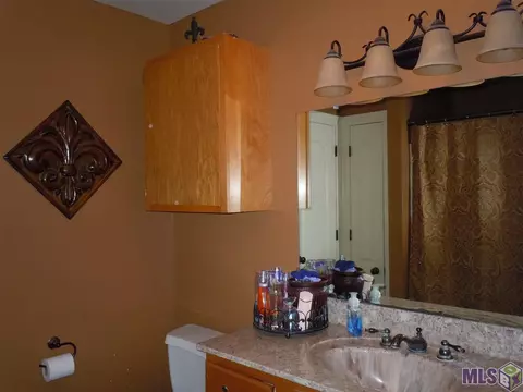 13322 Wildcat Dr, Walker, LA 70785 photo 13