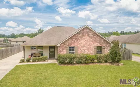 12247 Creekside Ave, Walker, LA 70785 photo 28