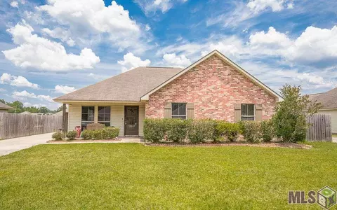 12247 Creekside Ave, Walker, LA 70785 photo 1