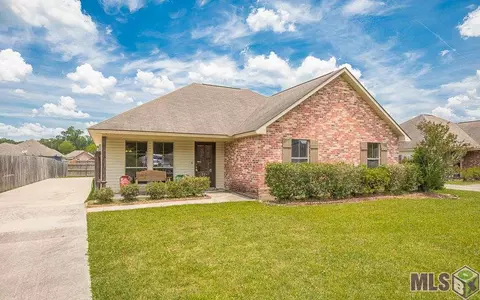12247 Creekside Ave, Walker, LA 70785 photo 30