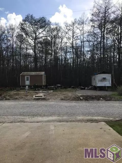 18885 River Bend Rd, Maurepas, LA 70449 photo 16