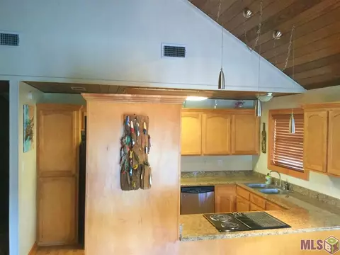 20470 Johnson Dr, Springfield, LA 70462 photo 9