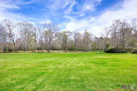 35406 Berthelot Rd, Walker, LA 70785 photo 21