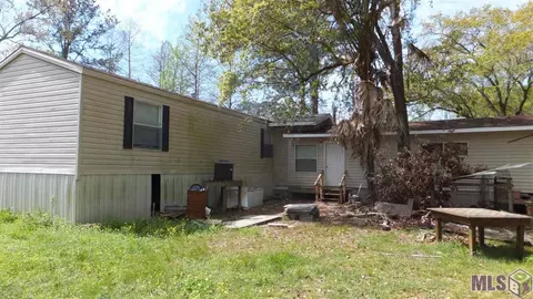 13131 Deer St, Maurepas, LA 70449 photo 1