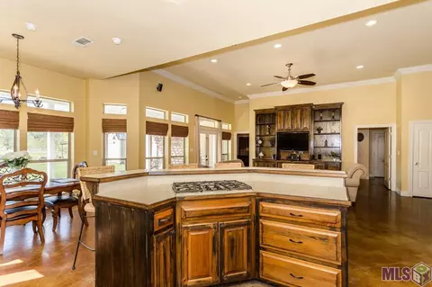 20100 Steve Hughes Rd, Walker, LA 70785 photo 20