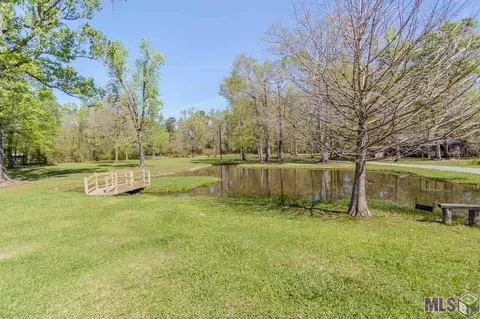 20100 Steve Hughes Rd, Walker, LA 70785 photo 37