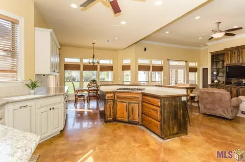20100 Steve Hughes Rd, Walker, LA 70785 photo 19