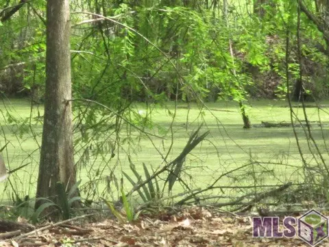 33916 Duff Rd, Walker, LA 70785 photo 3