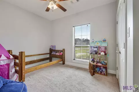 12725 Ruby Lake Dr, Walker, LA 70785 photo 9