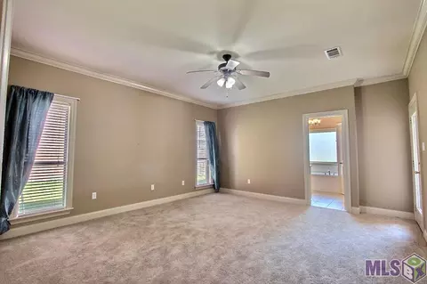 12414 Timberwood Dr, Walker, LA 70785 photo 12