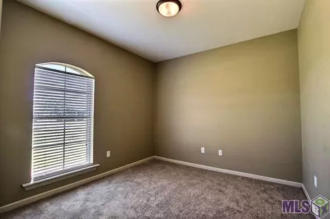 12414 Timberwood Dr, Walker, LA 70785 photo 19