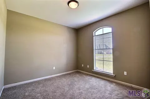 12414 Timberwood Dr, Walker, LA 70785 photo 17