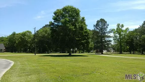 33281 Nancy Dr, Walker, LA 70785 photo 3