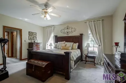 33518 Nancy Dr, Walker, LA 70785 photo 18