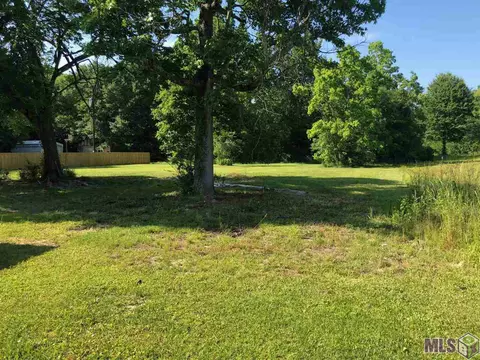 15887 Black Mud Rd, Walker, LA 70785 photo 10