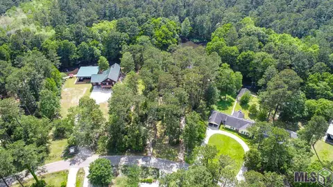 31460 River Pines Dr, Springfield, LA 70462 photo 22