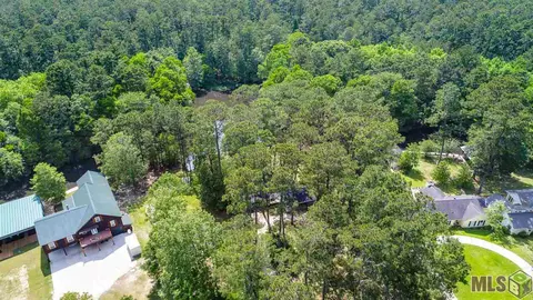 31460 River Pines Dr, Springfield, LA 70462 photo 23