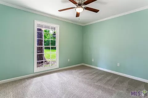 31460 River Pines Dr, Springfield, LA 70462 photo 17