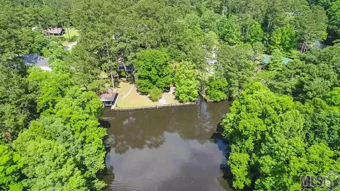 31460 River Pines Dr, Springfield, LA 70462 photo 26