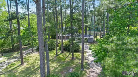 31460 River Pines Dr, Springfield, LA 70462 photo 25