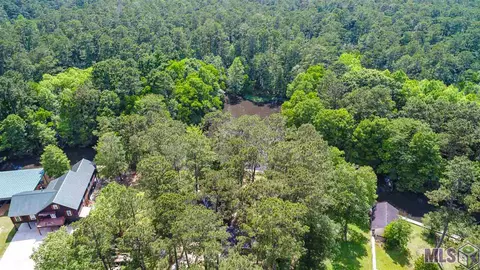 31460 River Pines Dr, Springfield, LA 70462 photo 24