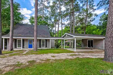 31460 River Pines Dr, Springfield, LA 70462 photo 2