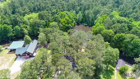 31460 River Pines Dr, Springfield, LA 70462 photo 21