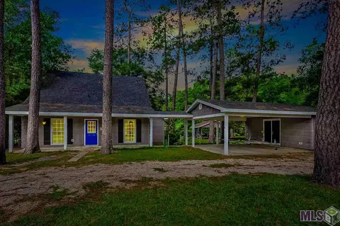 31460 River Pines Dr, Springfield, LA 70462 photo 3