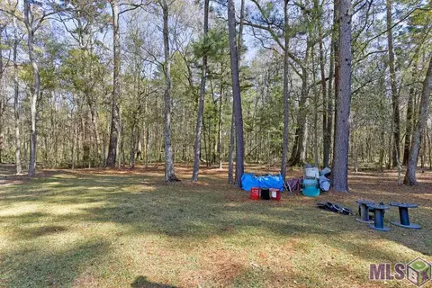30372 Cane Market Rd, Walker, LA 70785 photo 14