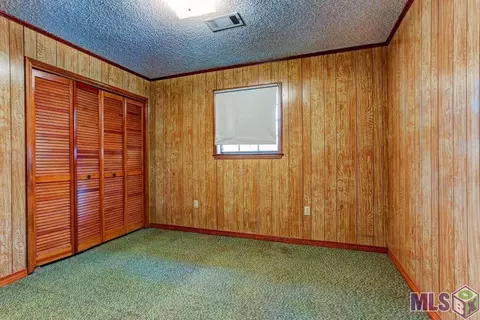 30372 Cane Market Rd, Walker, LA 70785 photo 9