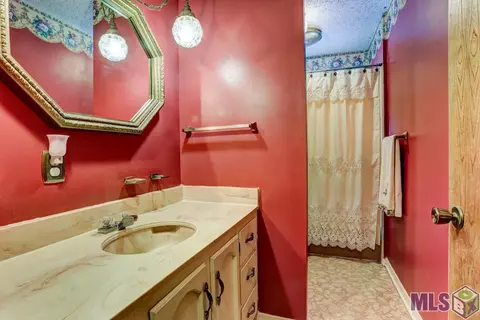 30372 Cane Market Rd, Walker, LA 70785 photo 10
