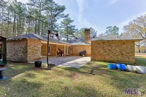 30372 Cane Market Rd, Walker, LA 70785 photo 13