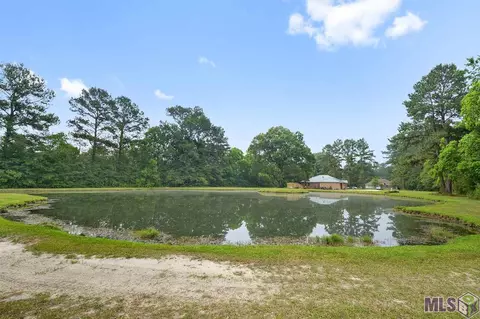 11439 Sandra Dr, Walker, LA 70785 photo 12