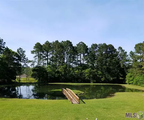11439 Sandra Dr, Walker, LA 70785 photo 14