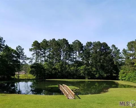 11439 Sandra Dr, Walker, LA 70785 photo 13