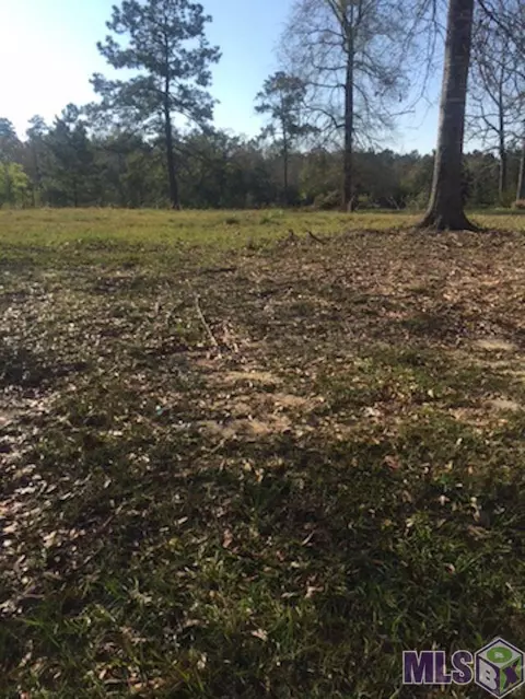 30744 Wild Iris Way, Springfield, LA 70462 photo 8
