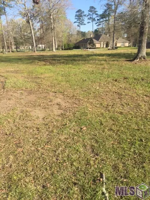 30744 Wild Iris Way, Springfield, LA 70462 photo 5