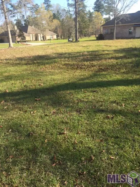 30744 Wild Iris Way, Springfield, LA 70462 photo 1