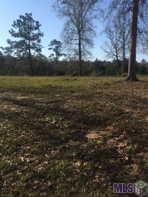 30744 Wild Iris Way, Springfield, LA 70462 photo 6