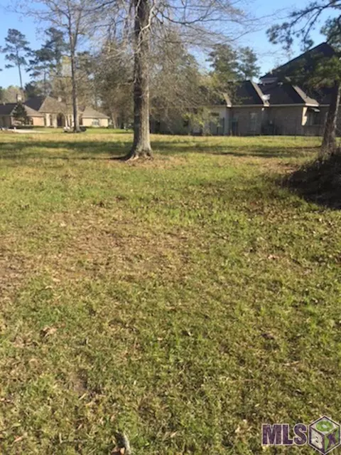 30744 Wild Iris Way, Springfield, LA 70462 photo 4