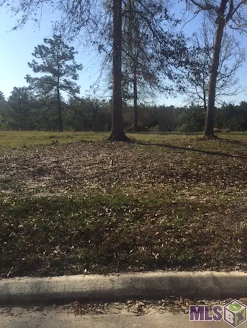 30744 Wild Iris Way, Springfield, LA 70462 photo 9